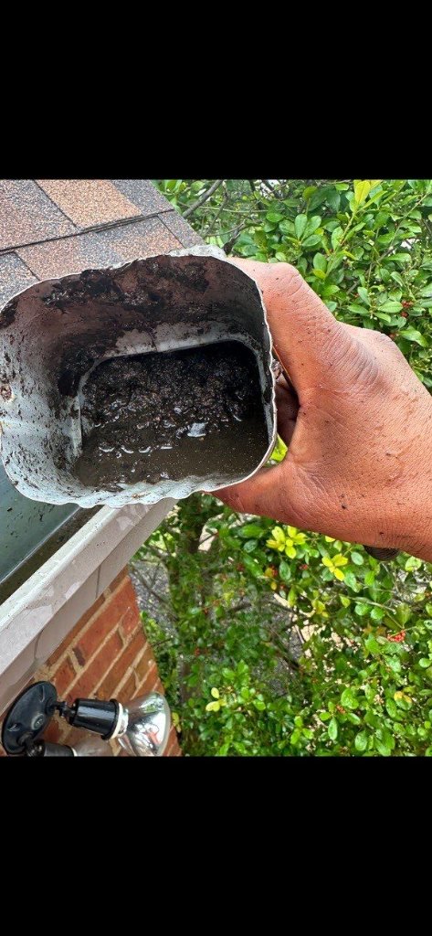 Trophy Club Clogged Debris Filled Gutter Replacement Becker Roofing - Trophy Club Roofing project photo by Becker Roofing and Exteriors
