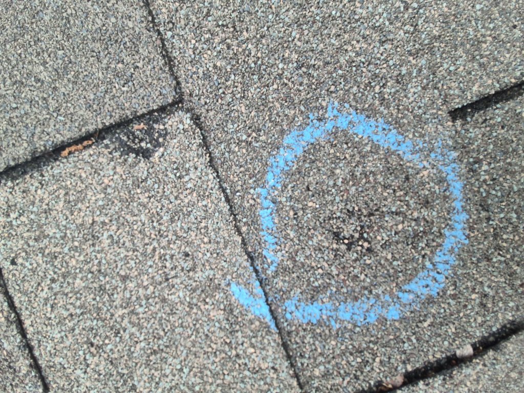 Hail Impact Mark on a North Fort Worth Asphalt Shingle - North Fort Worth Roofing project photo by Becker Roofing and Exteriors