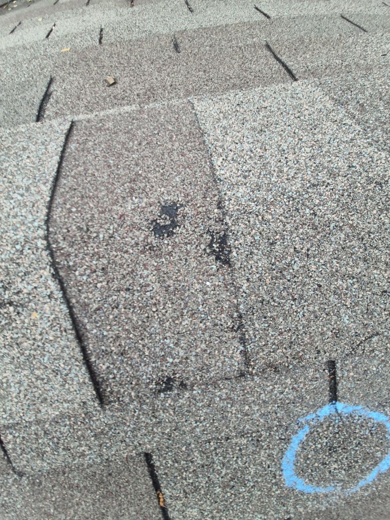 Close-up of hail impact damage on an asphalt shingle in North Fort Worth, TX