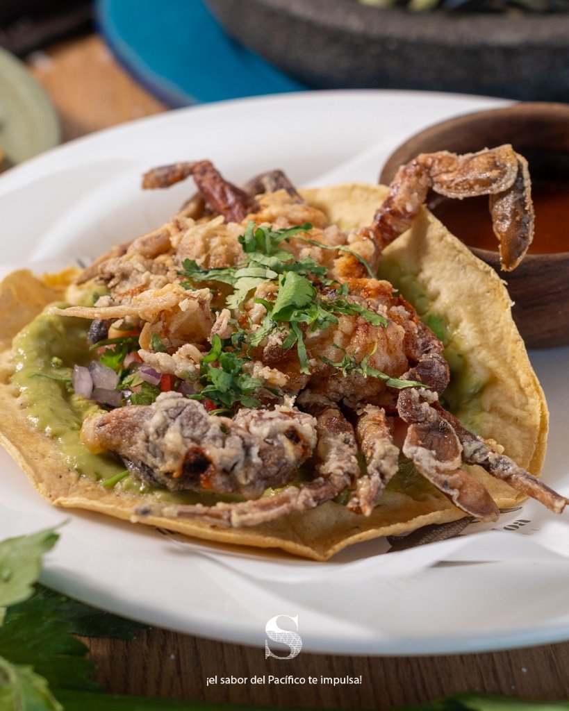 Tostadas Premium