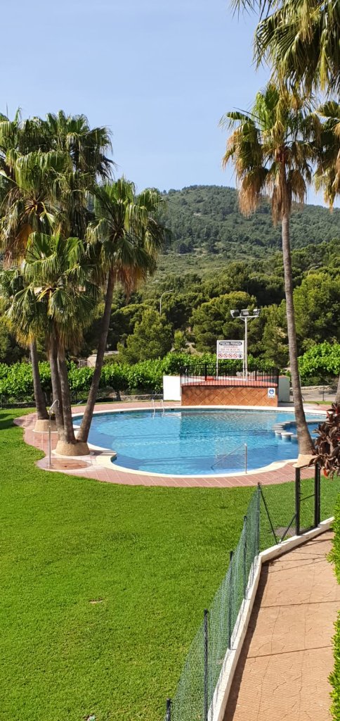 Piscina comunitaria con palmeras