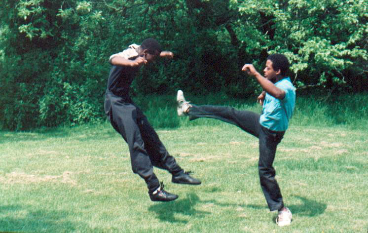 About the Sifu
