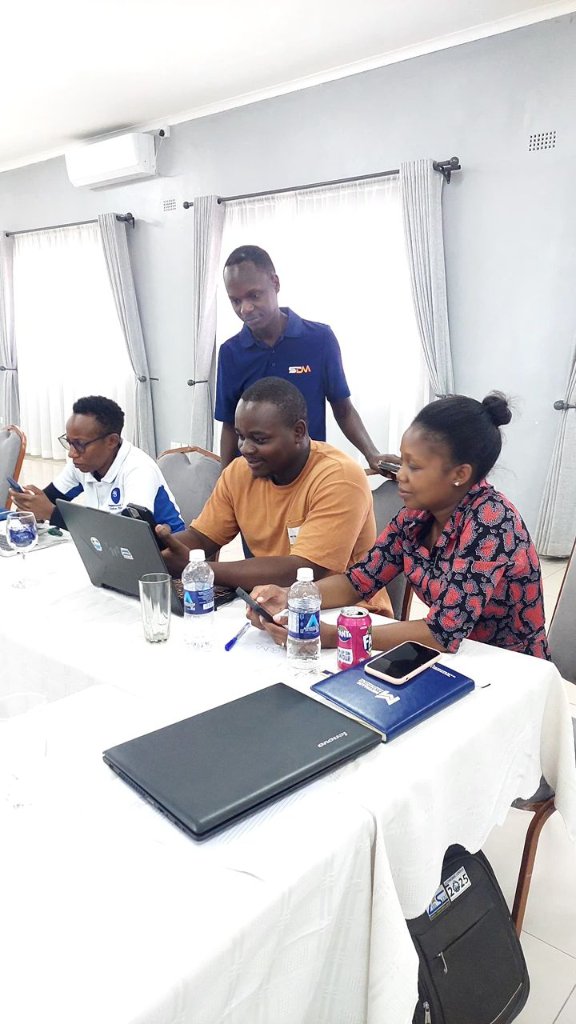 Team Mentoring