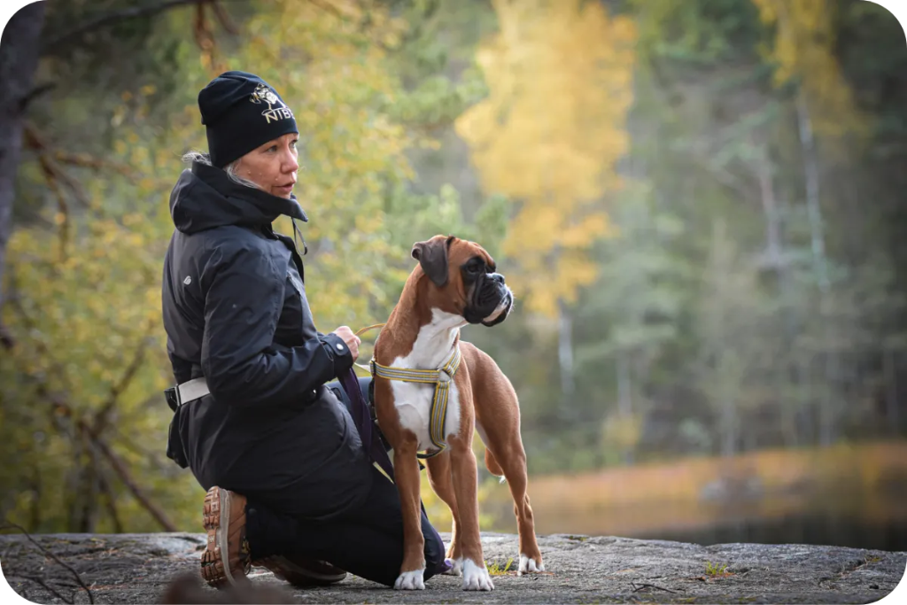 Nibe Hundträning