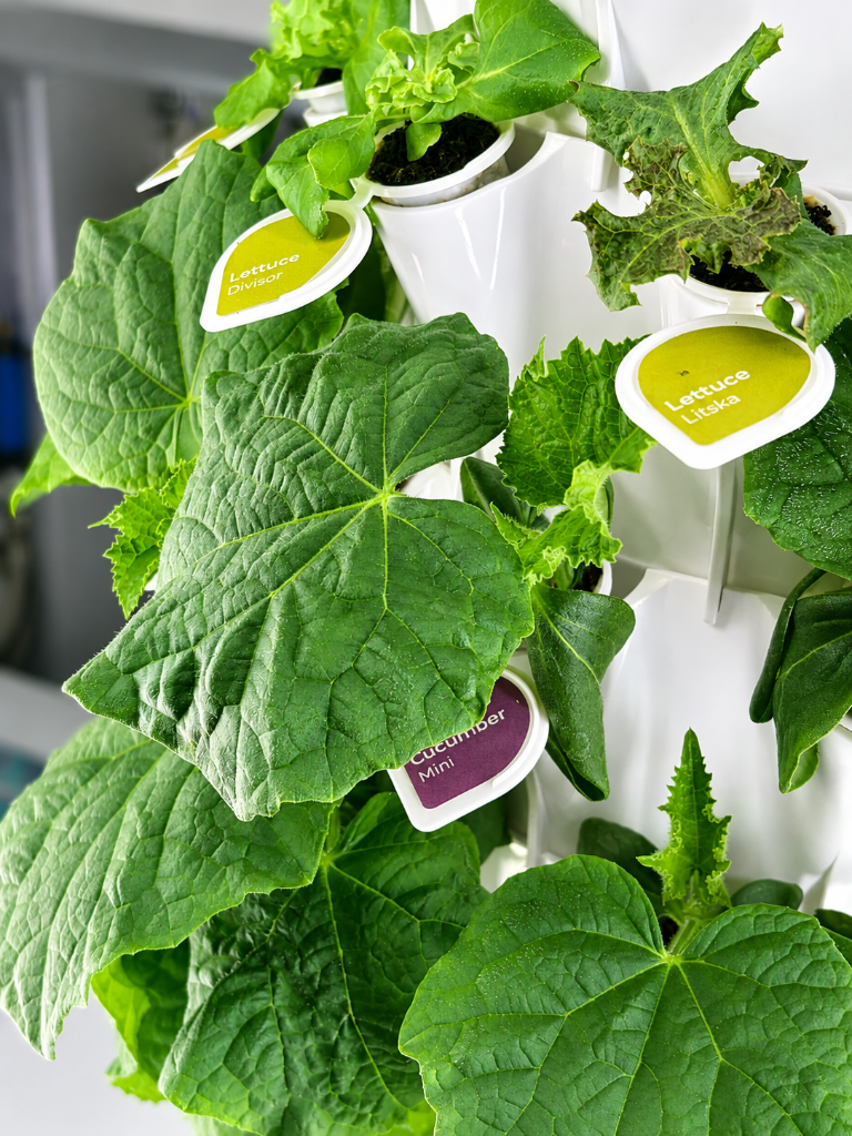 Container farm angled view