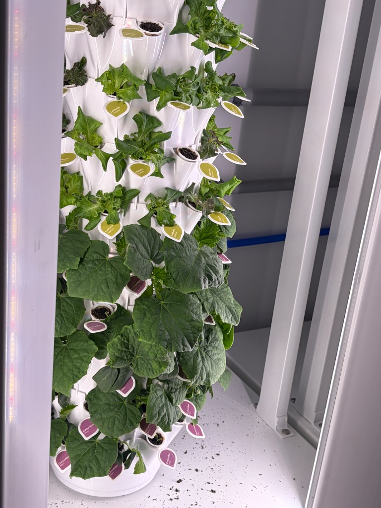Tower garden full view inside container