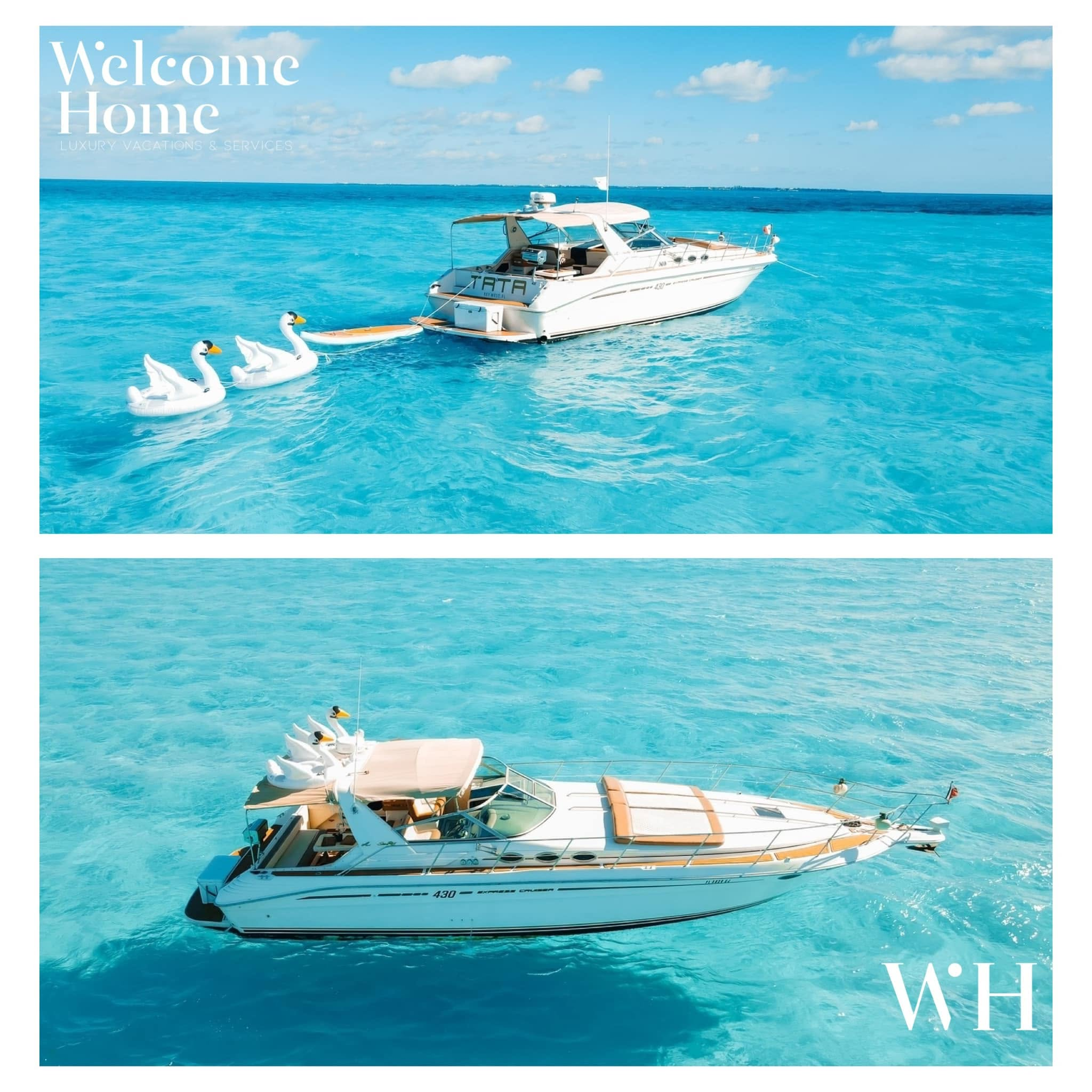 WH Luxury Homes - Captura 3