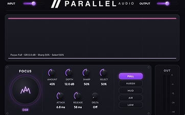 Parallel DSR