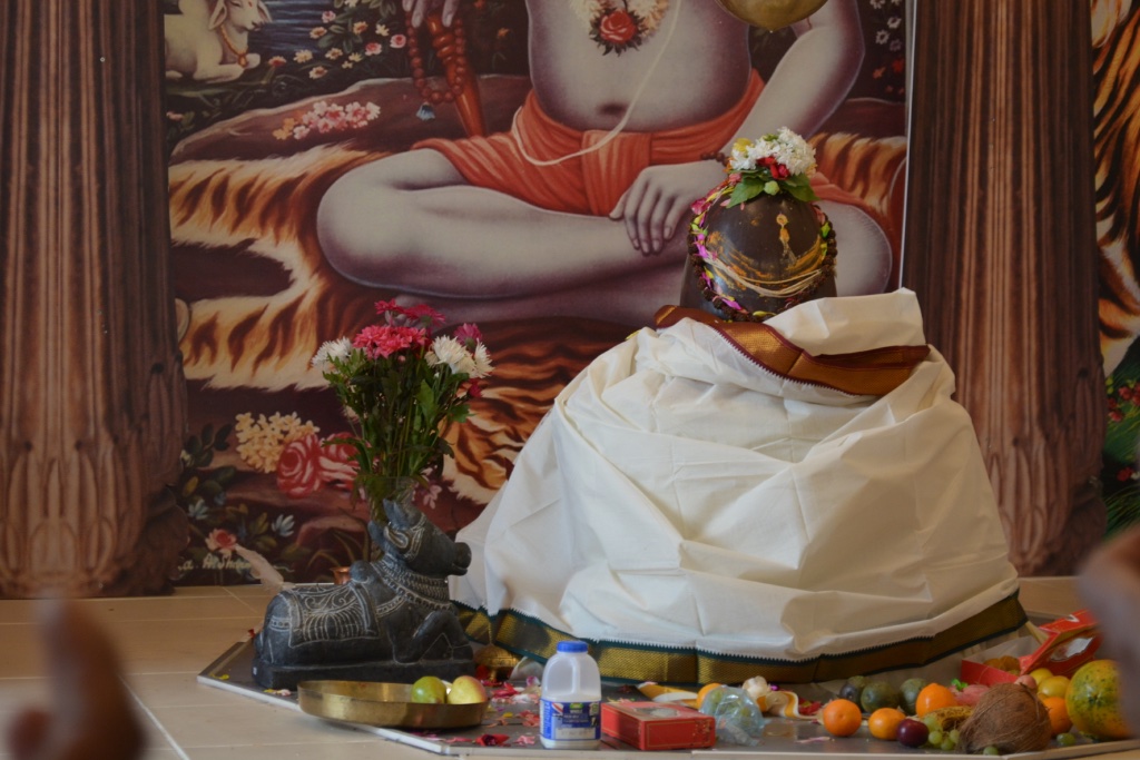 Narmadeshwara Lingam