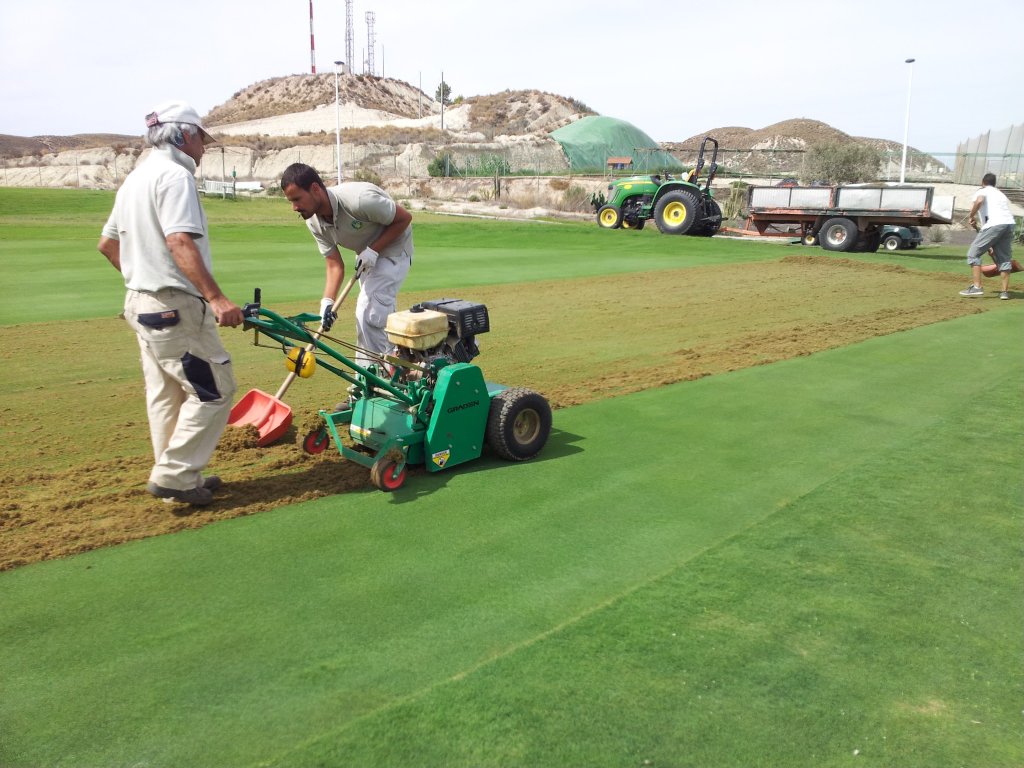 Escarificado de green