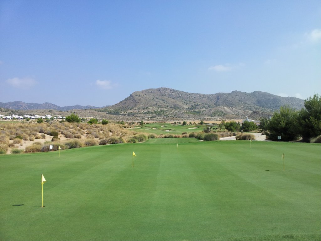 Fairway de campeonato