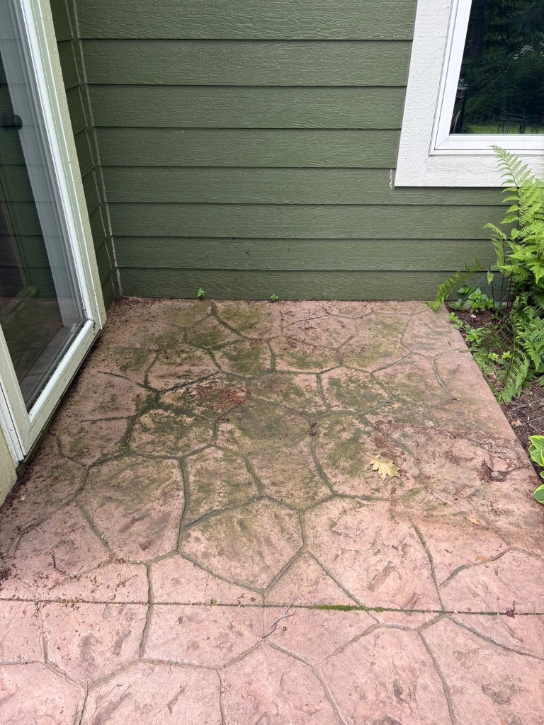 Stamped Concrete Patio before cleaning
