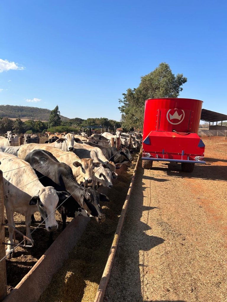 Visão geral — Estrutura organizada no Boitel DM