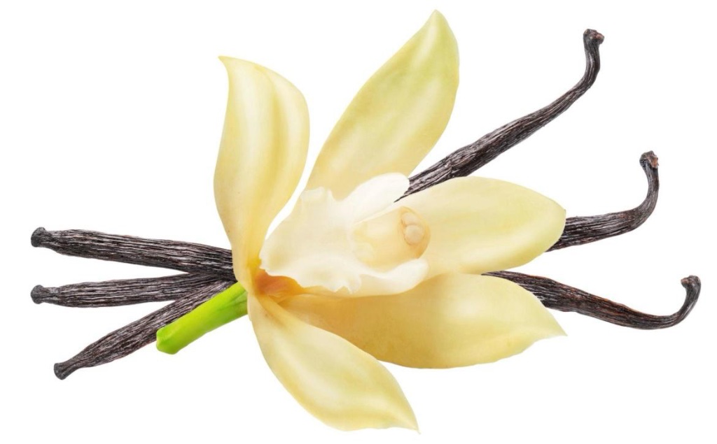 Madagaskar Vanille