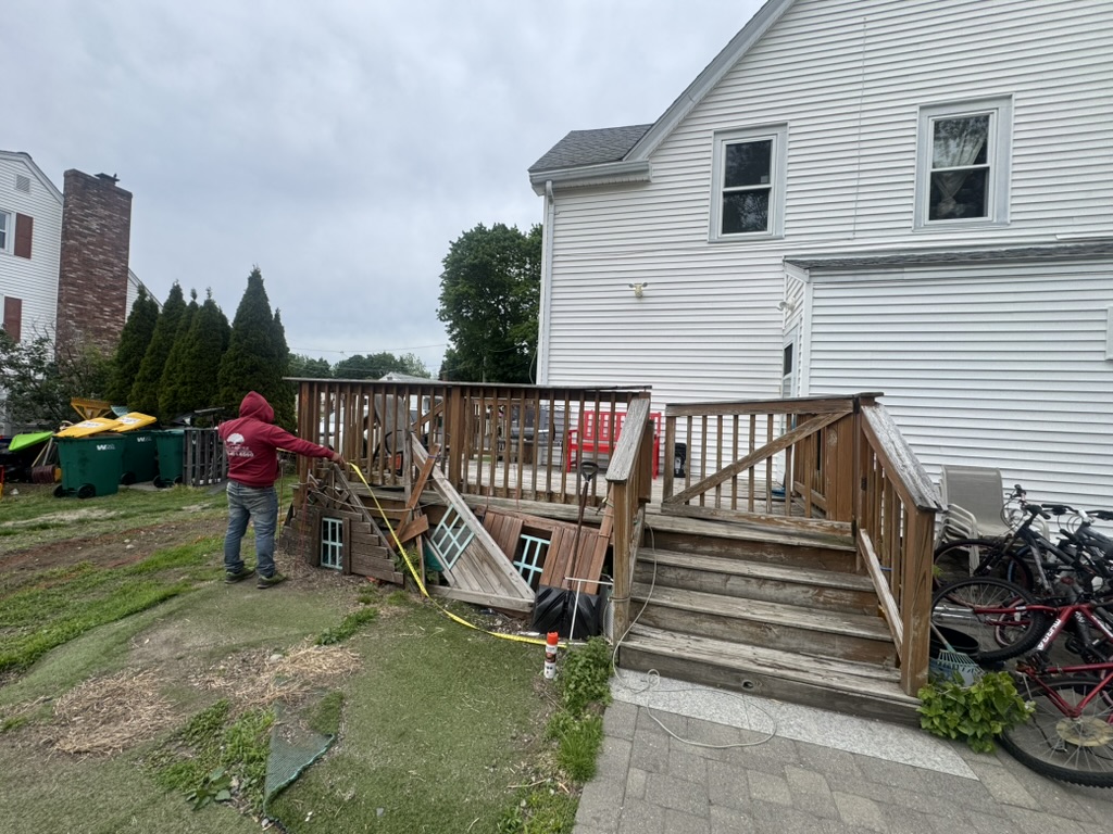 Tree and shrub maintenance