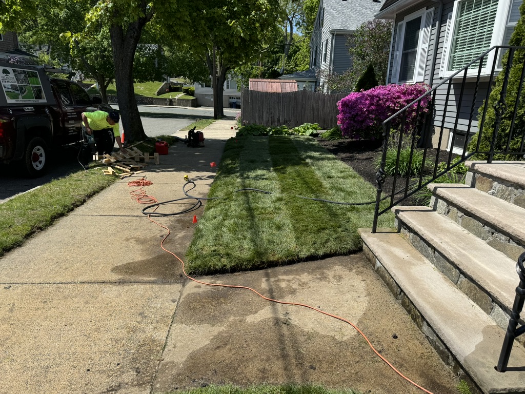 Fresh sod installation