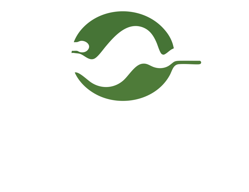 Issamore Electric