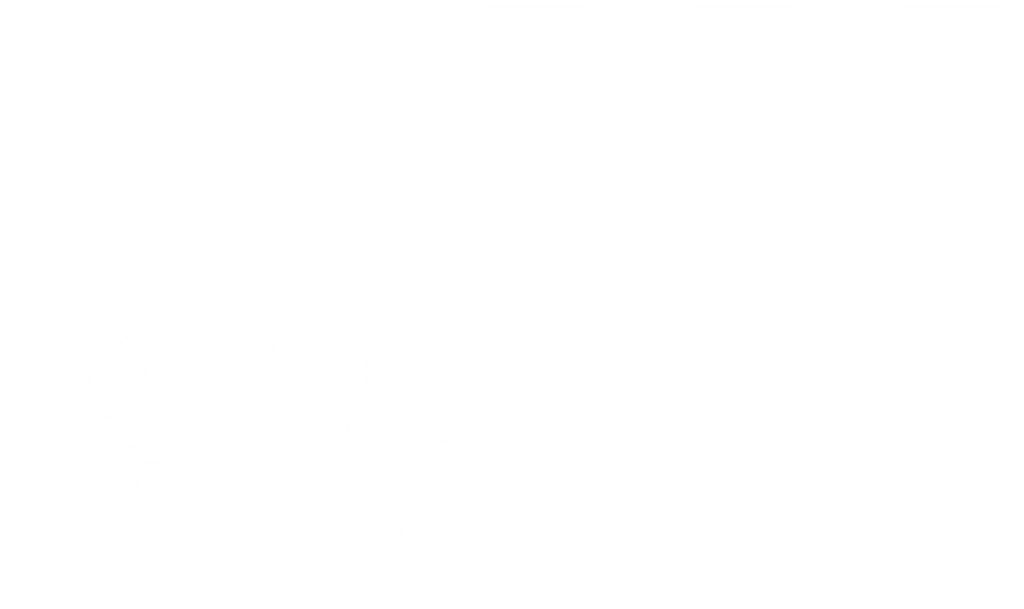 ST-Tuning Logo