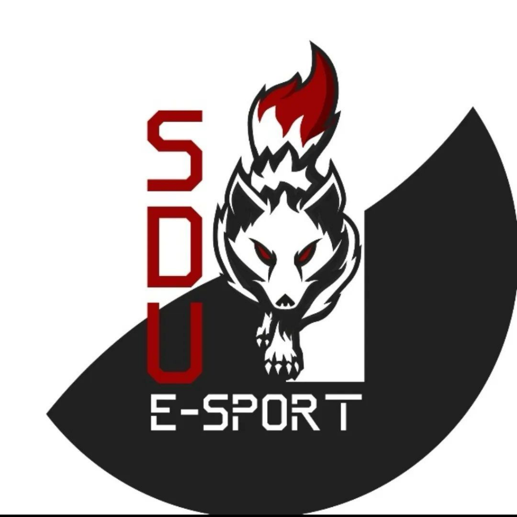 SDU E-Sport