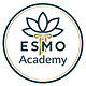 Logótipo ESMO Academy