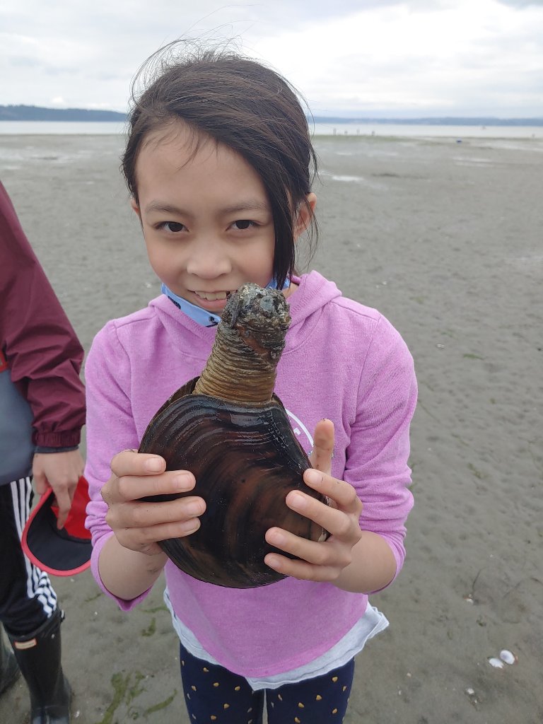 Young forager proudly holding a horse clam on the beach