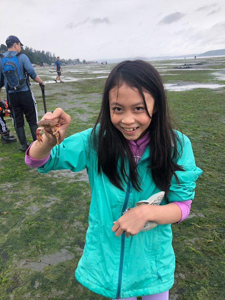 Young explorer holding a small crab on the tidal flats