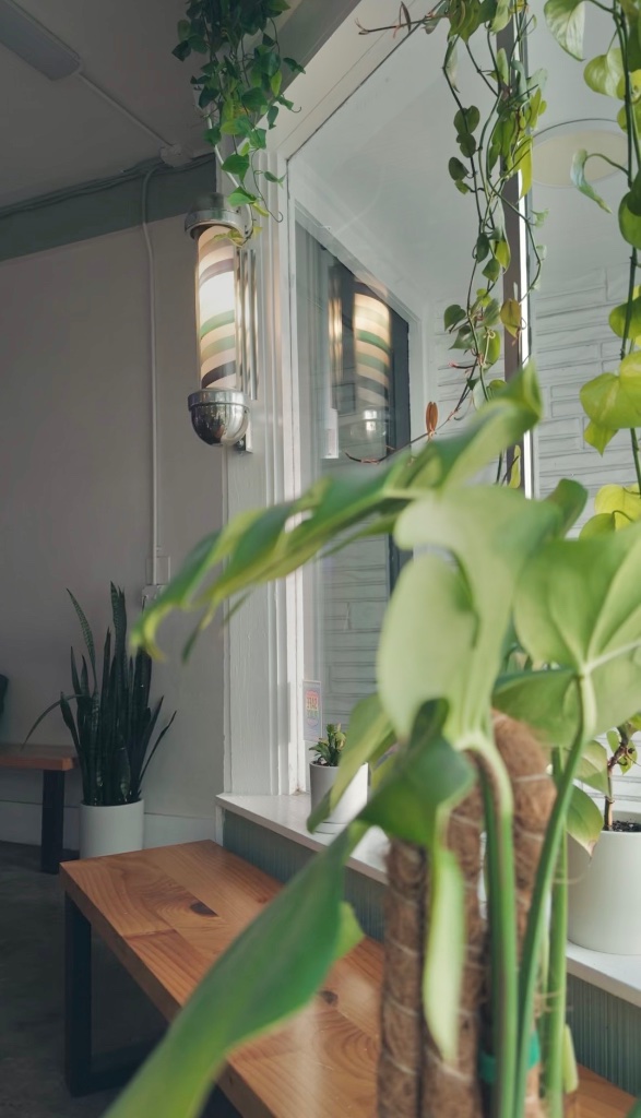 Monstera plant and hanging vines inside Central Oak Barber Co.