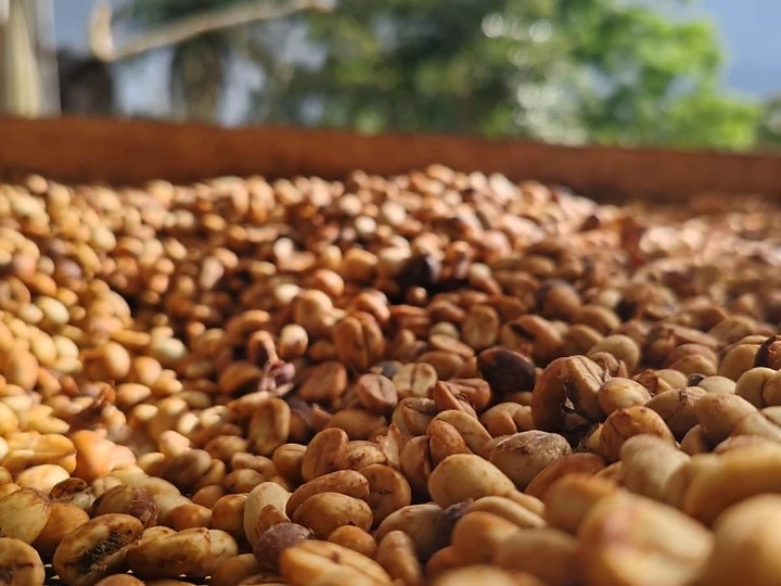 Traceability