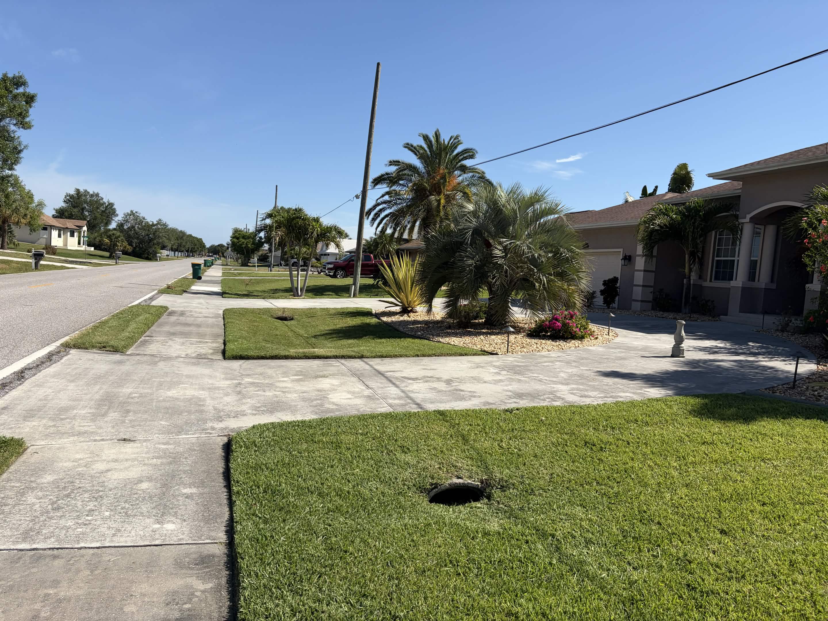 Residential front yard with tropical palm trees and decorative rock landscaping