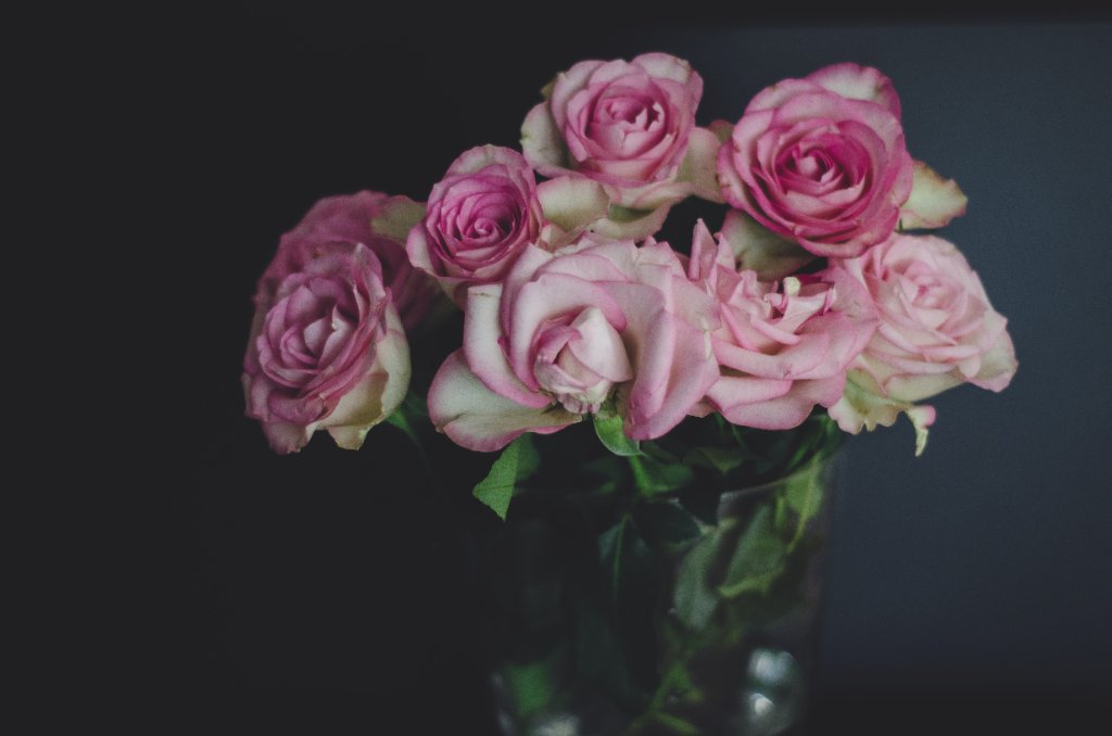 Rosas