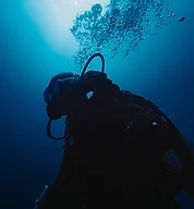Galería de buceo Sea Pride 8