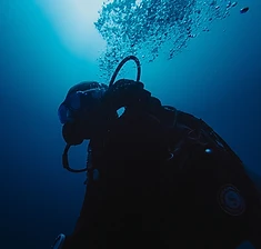 Artículo de buceo: Cómo elegir tu certificación PADI
