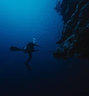 Galería de buceo Sea Pride 2