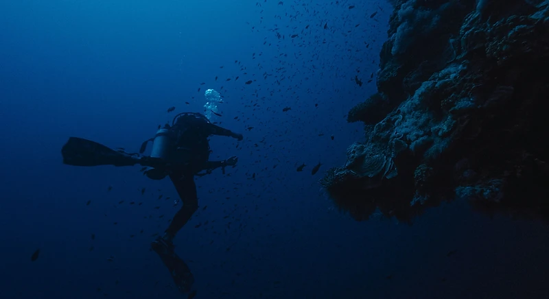 Buceo profesional en las aguas de San Andrés
