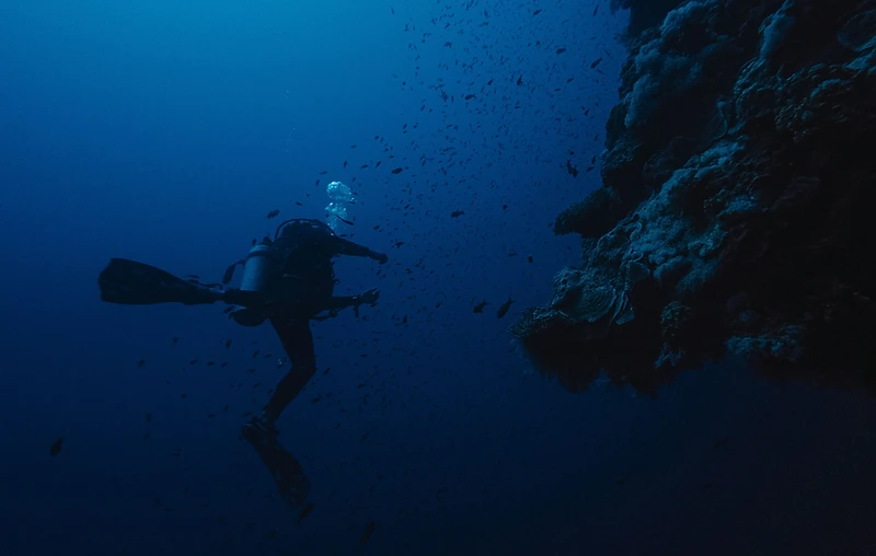 Buceo profesional en las aguas de San Andrés