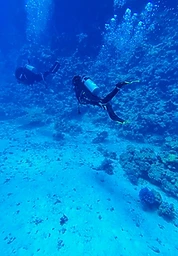 Galería de buceo Sea Pride 4
