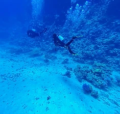 Artículo de buceo: Buceo responsable en San Andrés