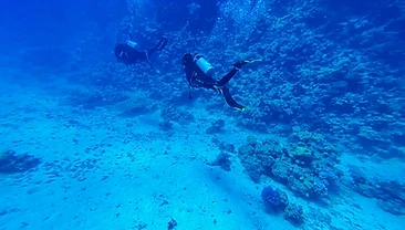 Curso: Buceo Doble
