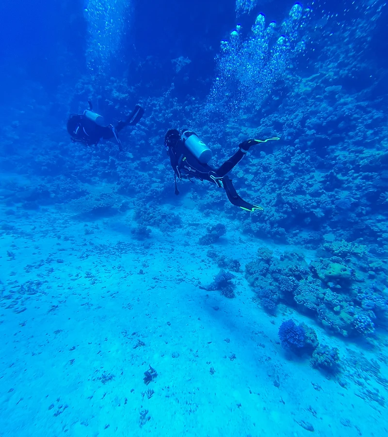 Buzos explorando un arrecife de coral en las aguas azules de San Andrés