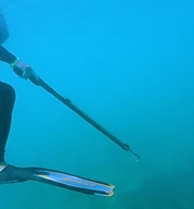 Galería de buceo Sea Pride 6