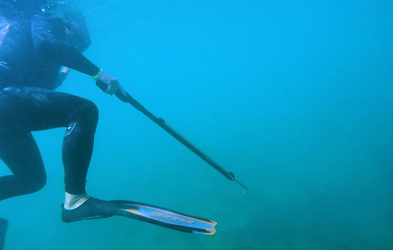 Buceo profesional en las aguas de San Andrés