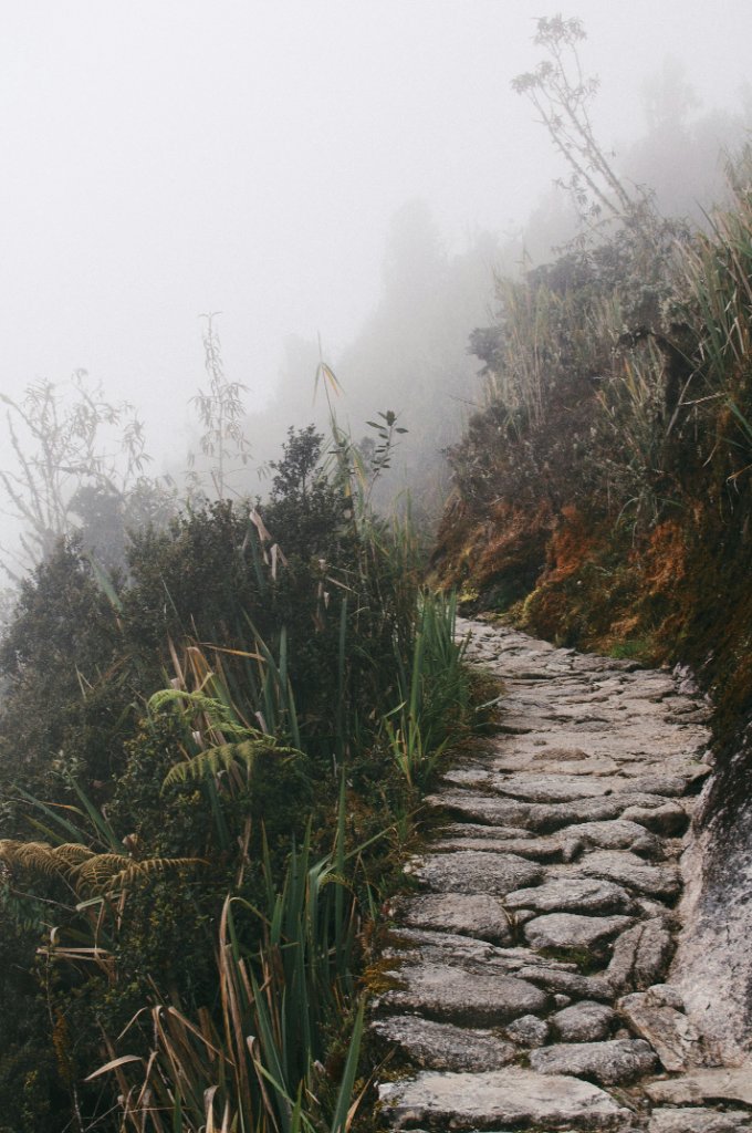 Stone path ascending into mountain mist