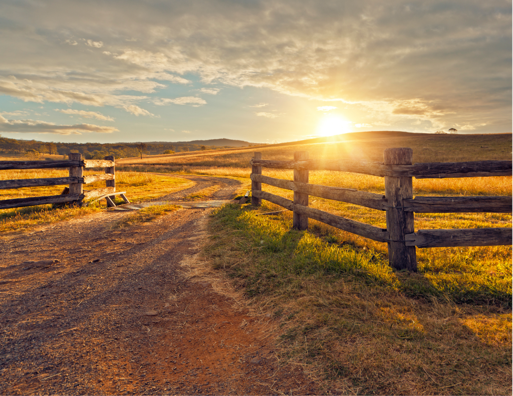Sun rising over rolling pastures and a rustic wooden fence gate, opening onto a dirt ranch road—serving as the main hero backdrop for the CPAC Ranchers Coalition homepage.