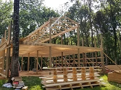 Framing in the Woods
