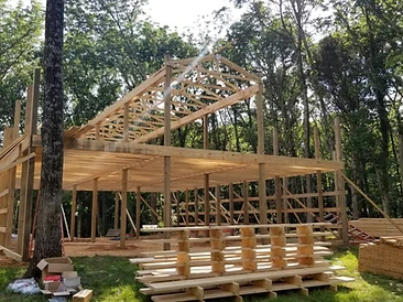 Framing in the Woods