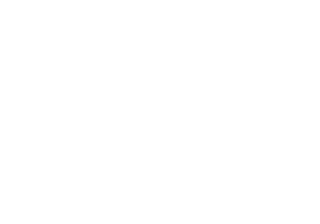 THS Remote Support Services