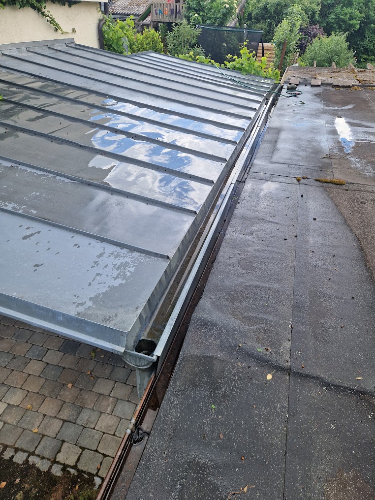 Regenrinnen reinigen