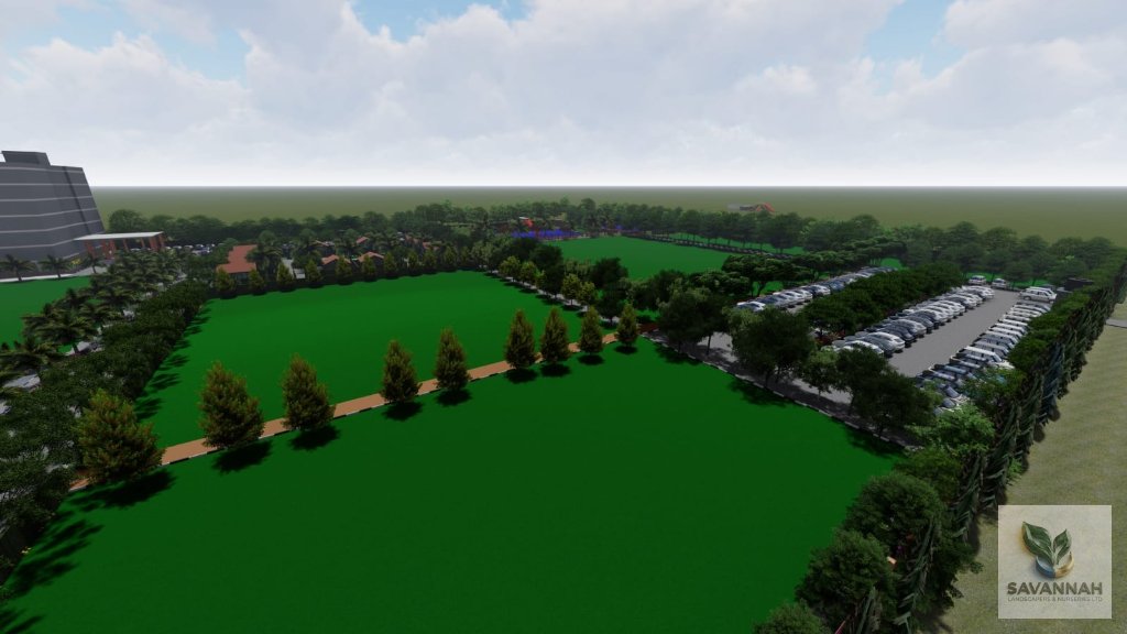 Boundary Palm Beds