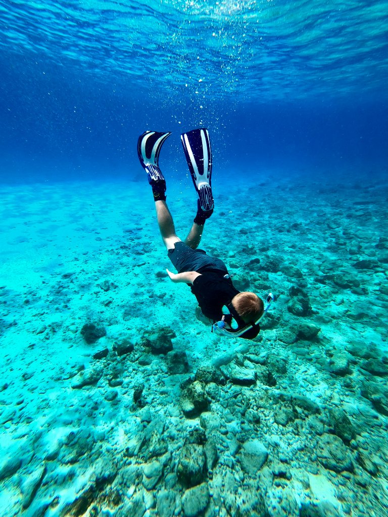 Snorkeling tour in crystal-clear Adriatic waters near Poreč, Istria