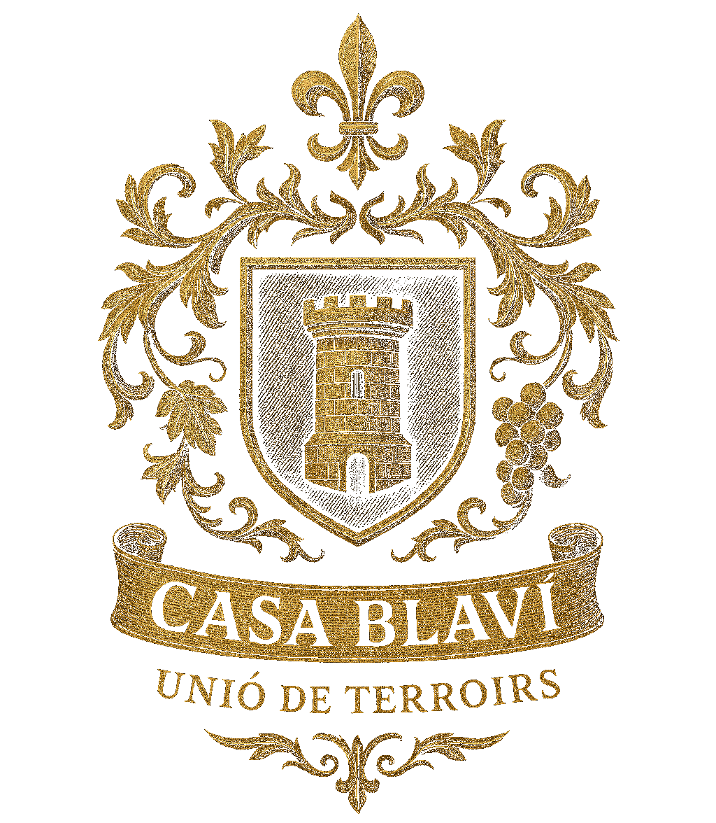 Casa Blaví
